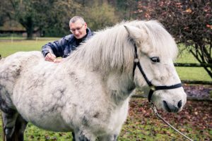 Tierphysiotherapie Kandertal - Behandlung Pferd